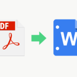 pdf-to-word-1